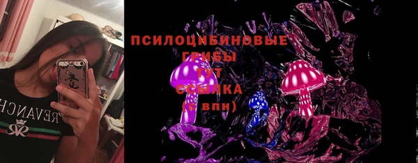 твердый Белокуриха