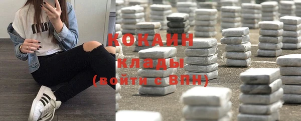 мяу мяу мука Баксан